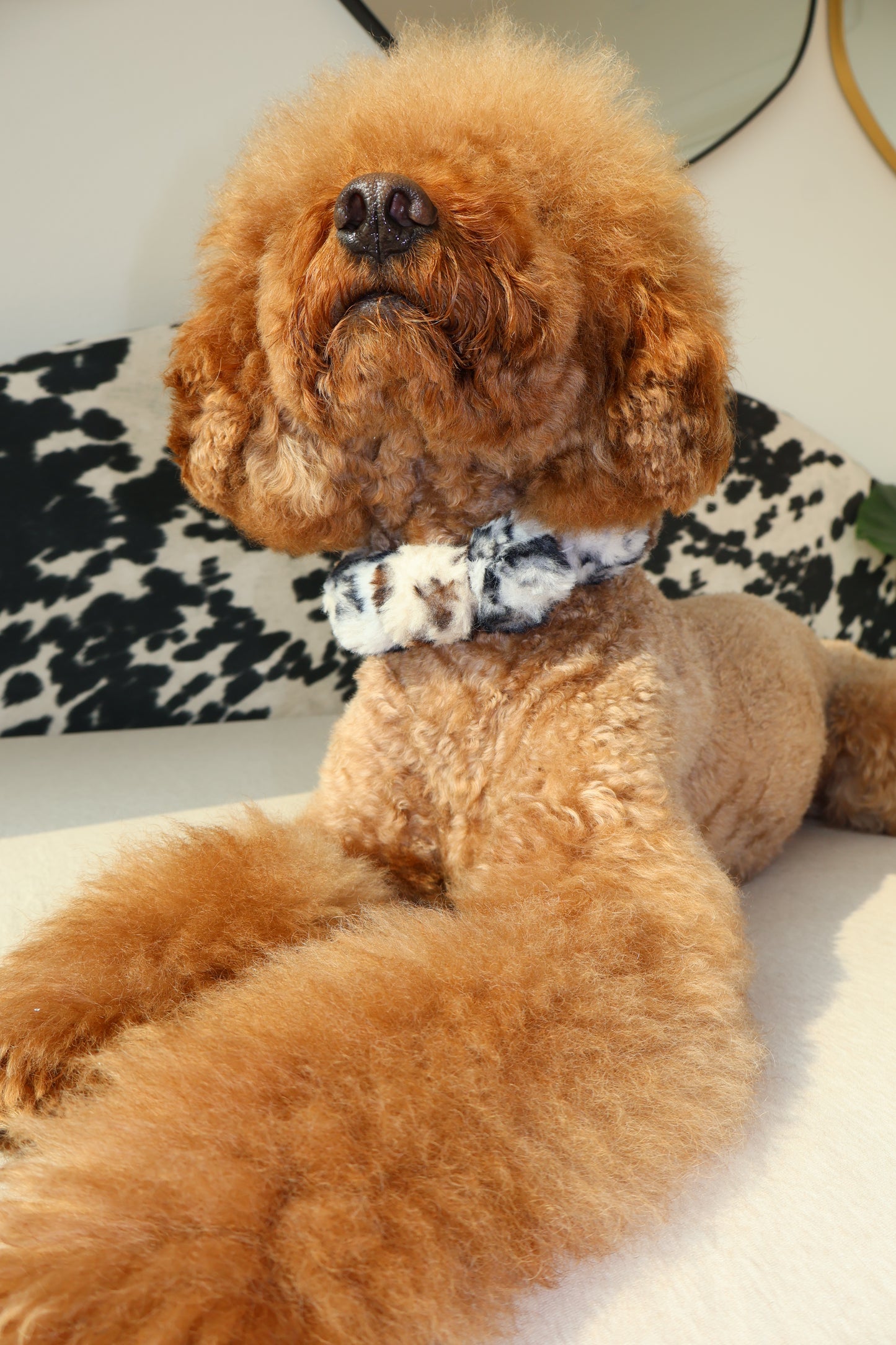 Ferocious – Poodle Pearls Dog Necklace