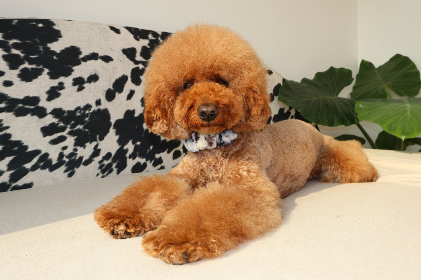 Ferocious – Poodle Pearls Dog Necklace