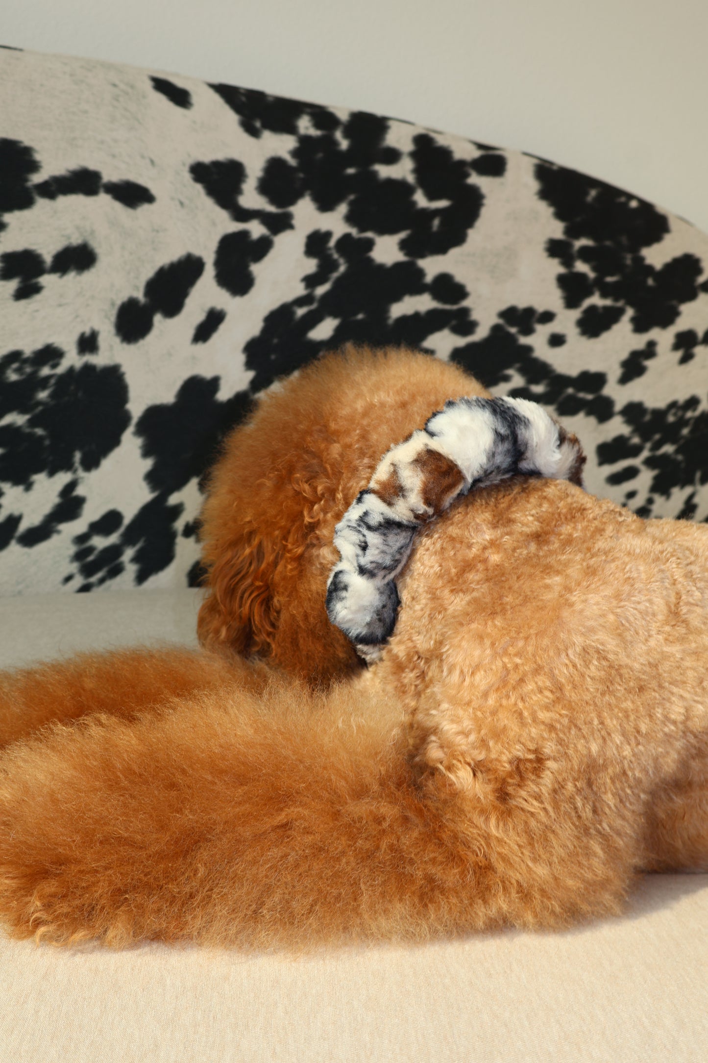Ferocious – Poodle Pearls Dog Necklace