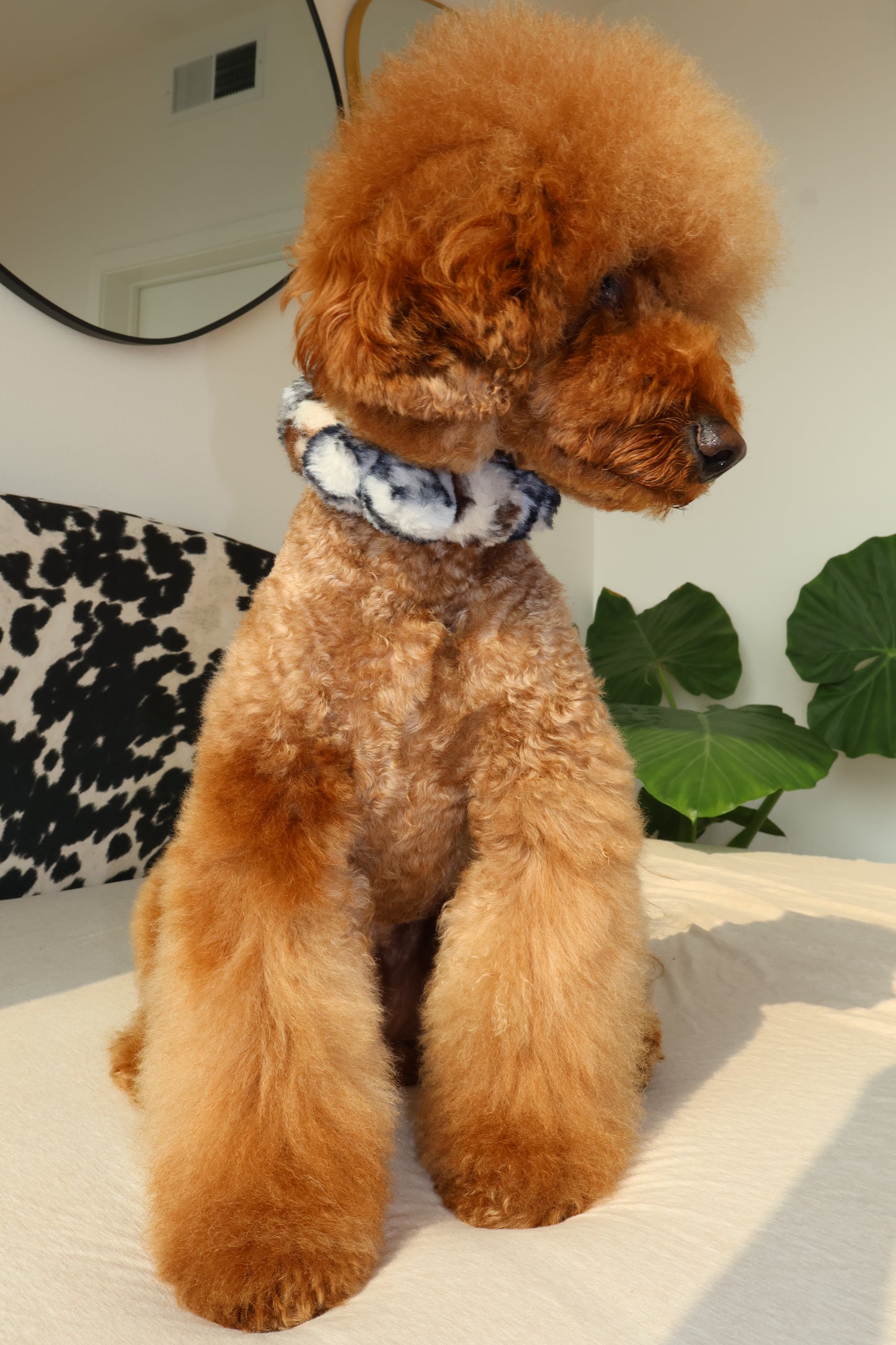 Ferocious – Poodle Pearls Dog Necklace