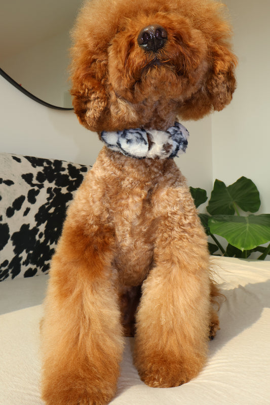 Ferocious – Poodle Pearls Dog Necklace