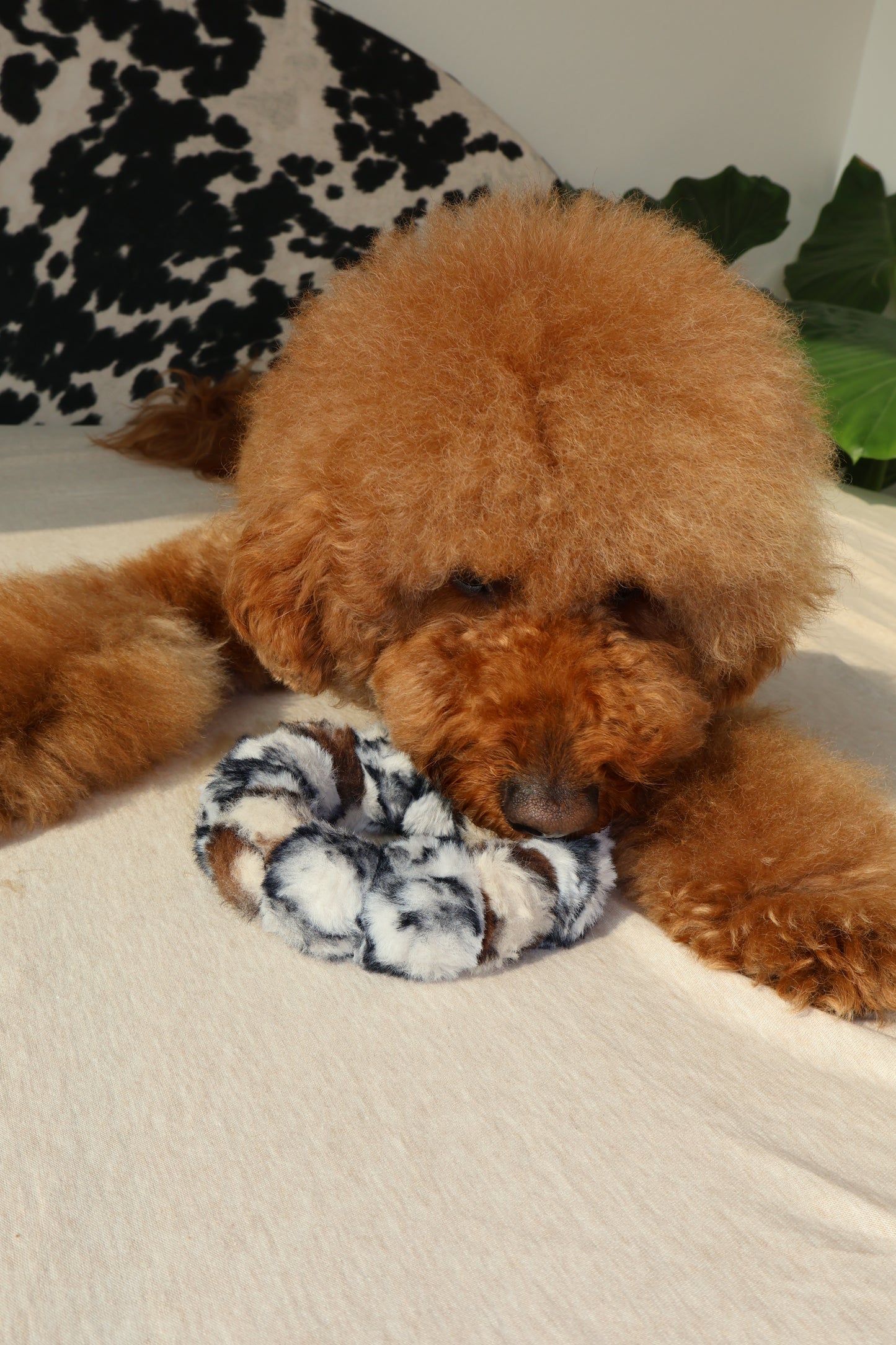 Ferocious – Poodle Pearls Dog Necklace