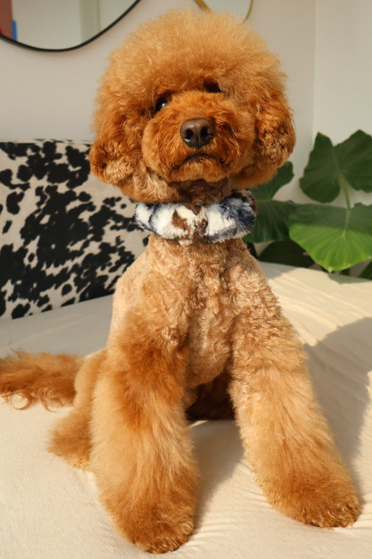 Ferocious – Poodle Pearls Dog Necklace