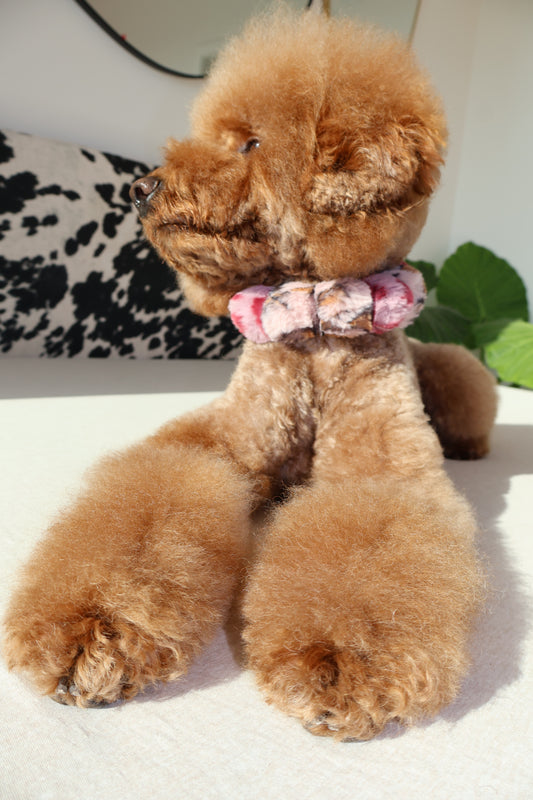 Fierce – Poodle Pearls Dog Necklace