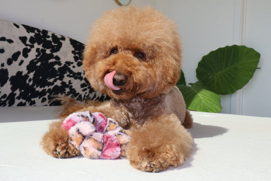 Fierce – Poodle Pearls Dog Necklace