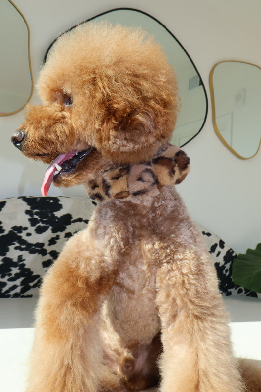 Mocha Latte – Poodle Pearls Dog Necklace