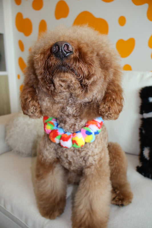 Freedom – Poodle Pearls Dog Necklace