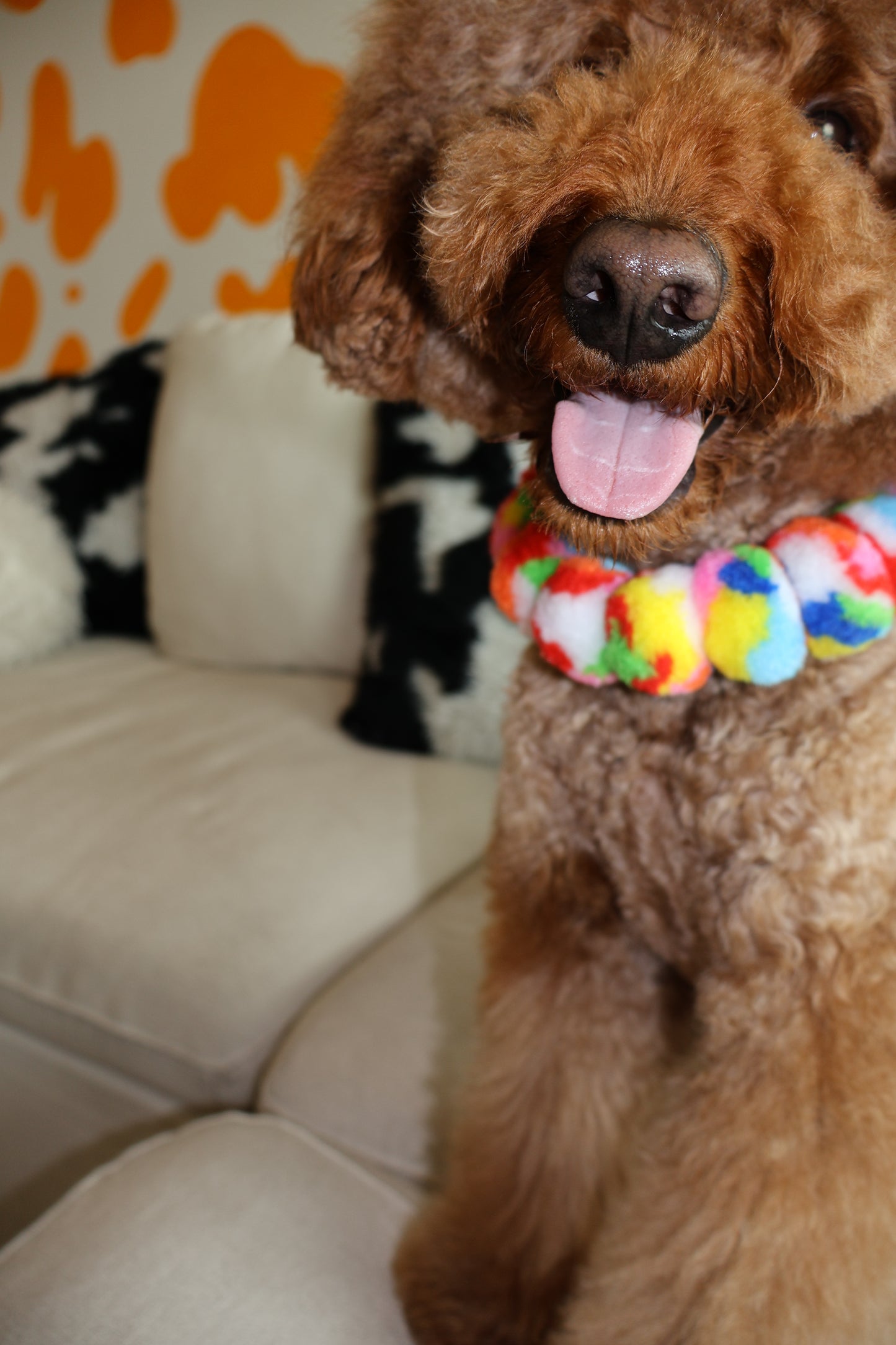 Freedom – Poodle Pearls Dog Necklace