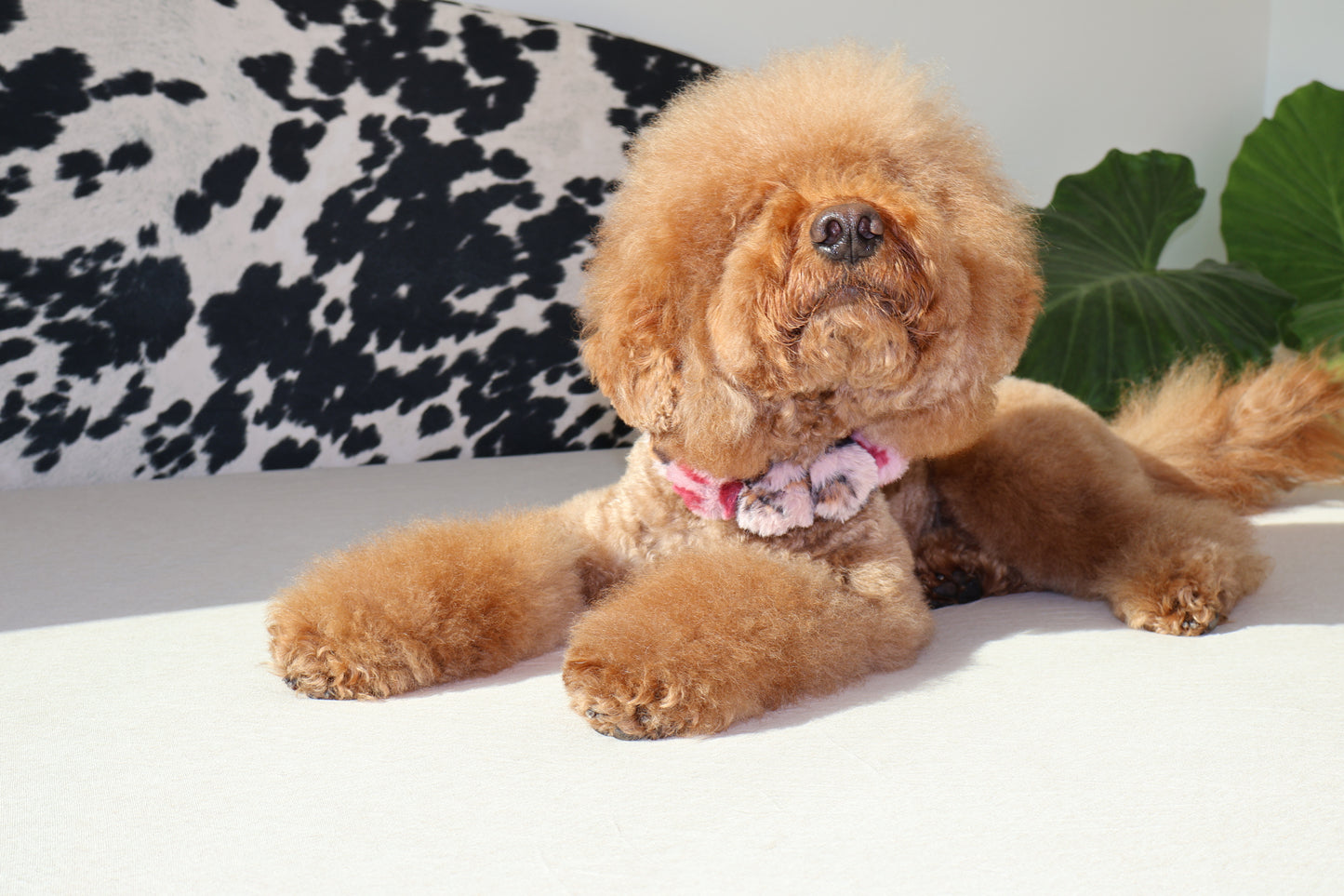 Fierce – Poodle Pearls Dog Necklace
