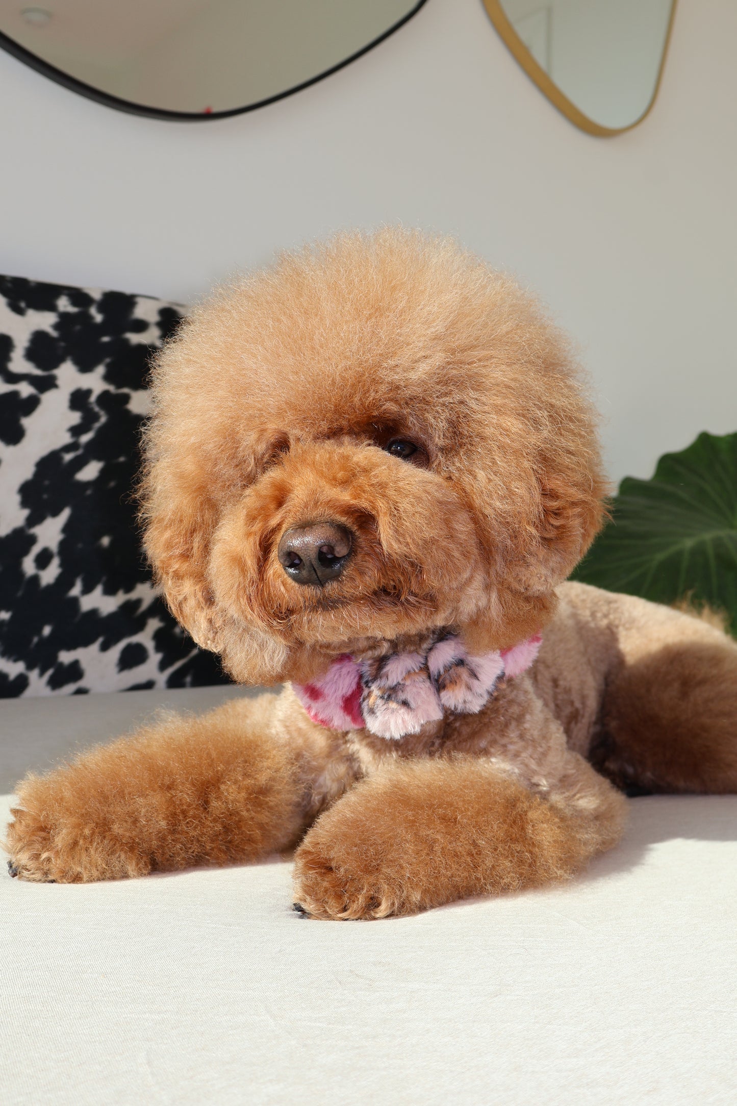 Fierce – Poodle Pearls Dog Necklace