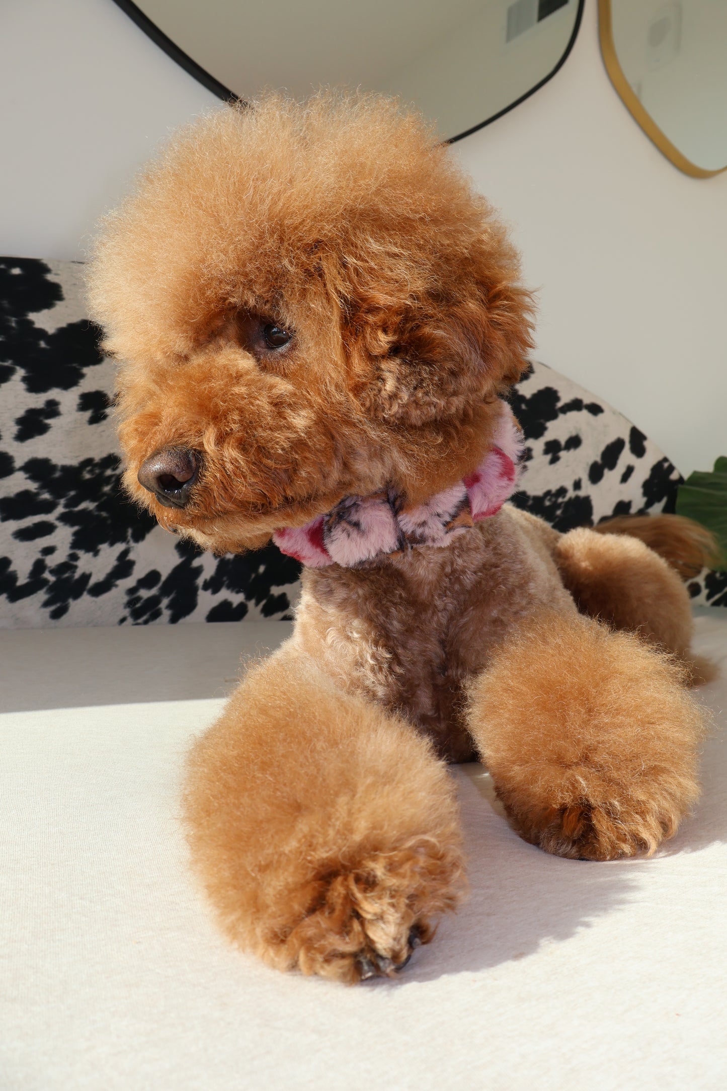 Fierce – Poodle Pearls Dog Necklace