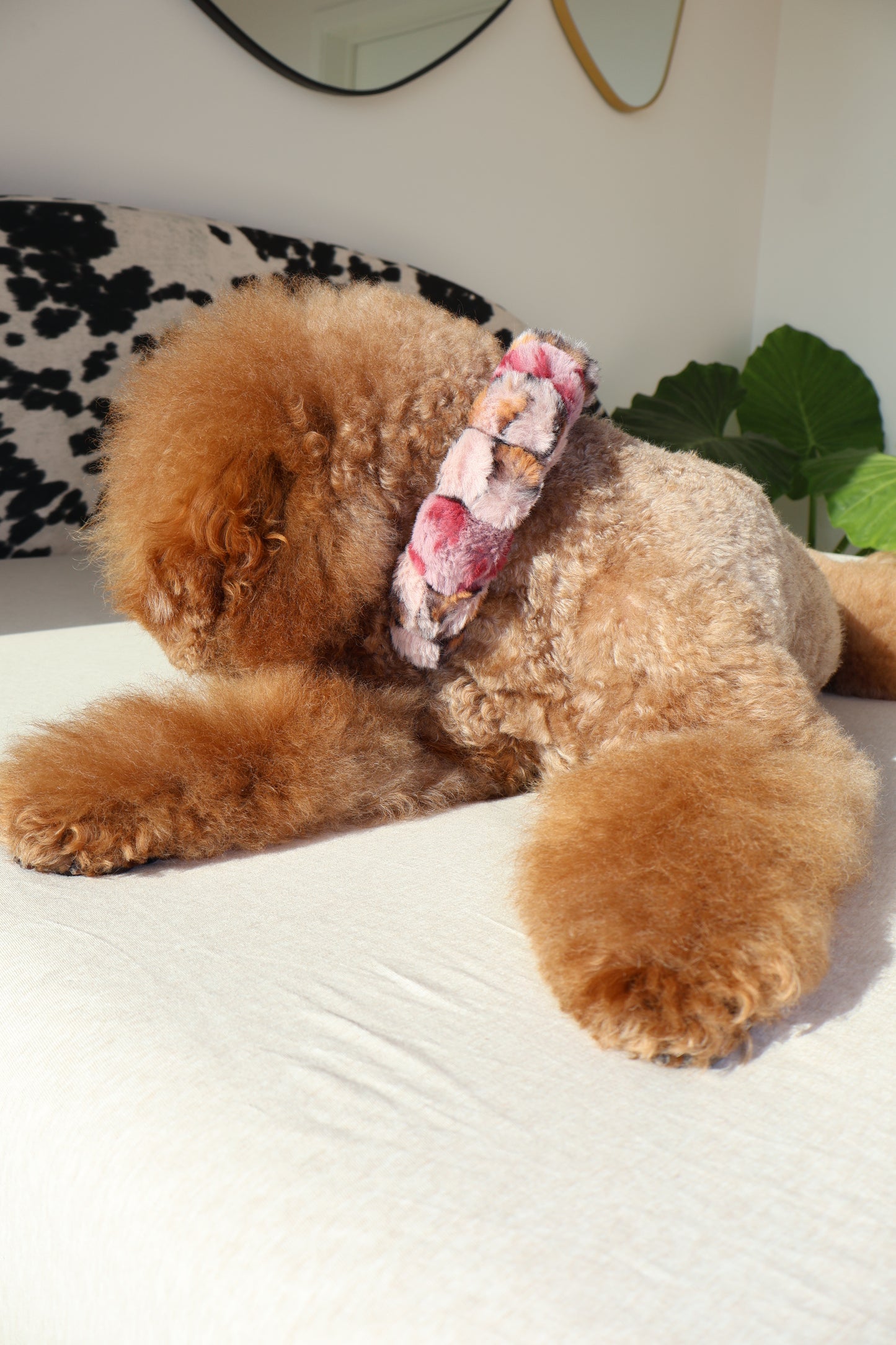 Fierce – Poodle Pearls Dog Necklace