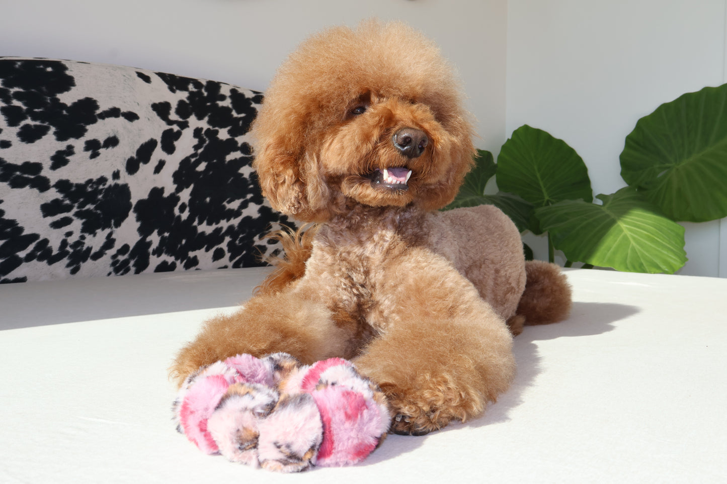 Fierce – Poodle Pearls Dog Necklace