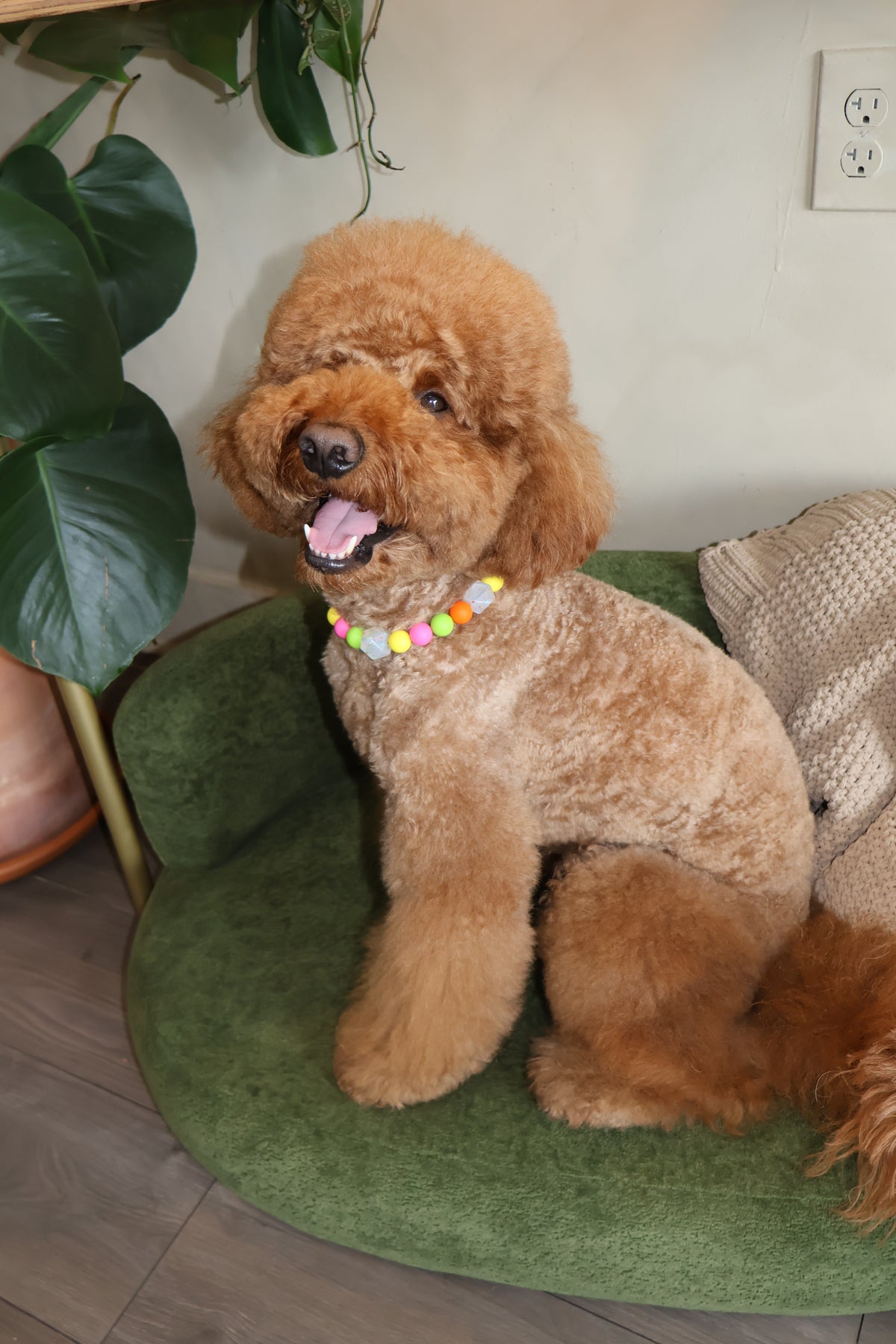 THAT PUPPY – Poodle Pearls Dog Necklace