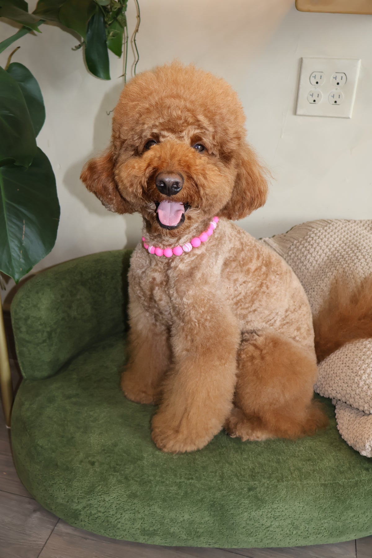 Pretty in Pink – Poodle Pearls Dog Necklace
