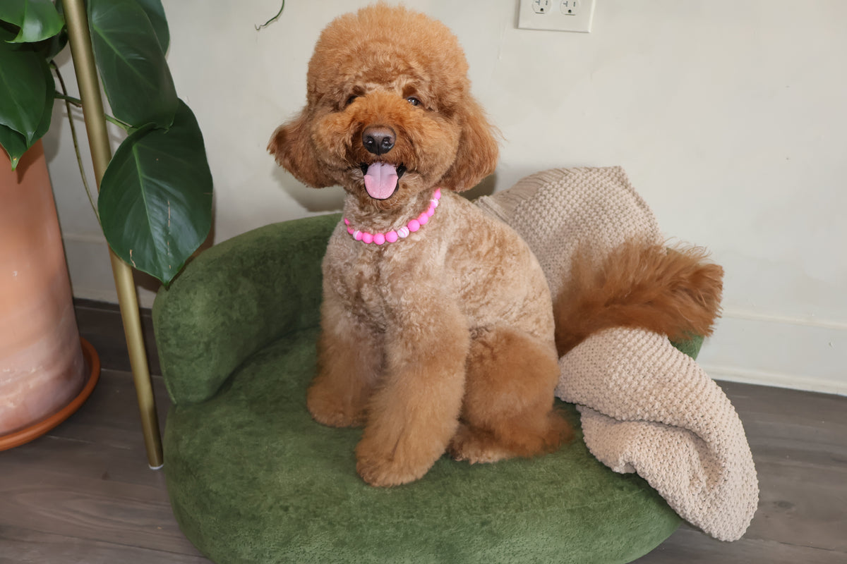 Pretty in Pink – Poodle Pearls Dog Necklace
