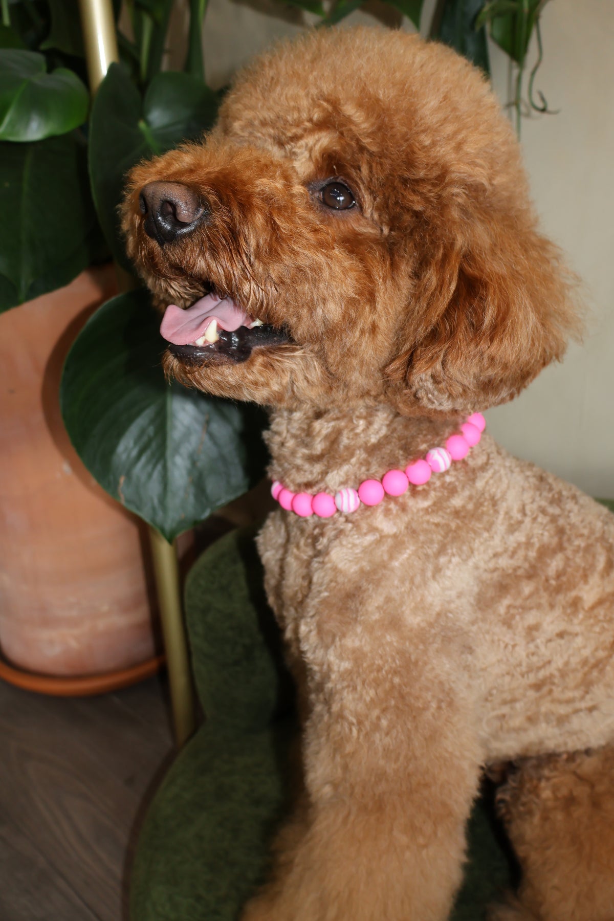 Pretty in Pink – Poodle Pearls Dog Necklace