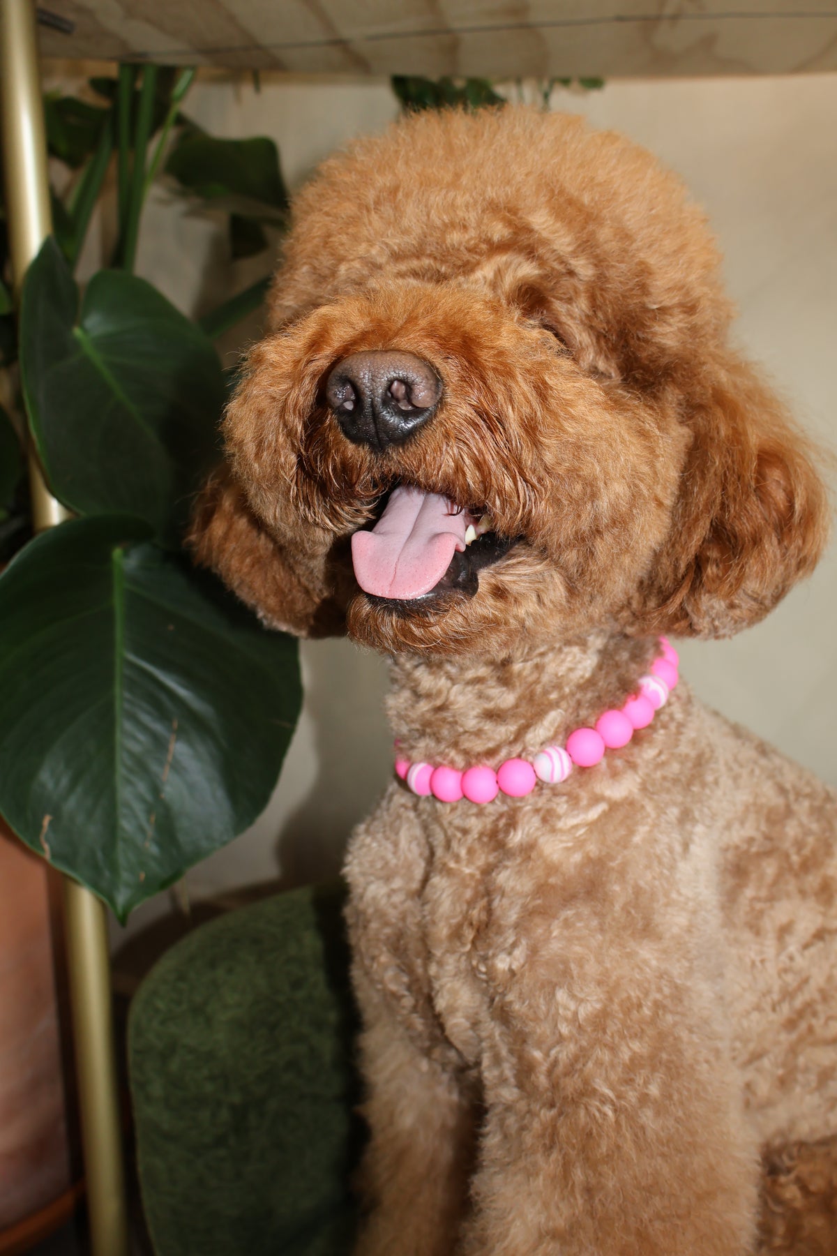 Pretty in Pink – Poodle Pearls Dog Necklace