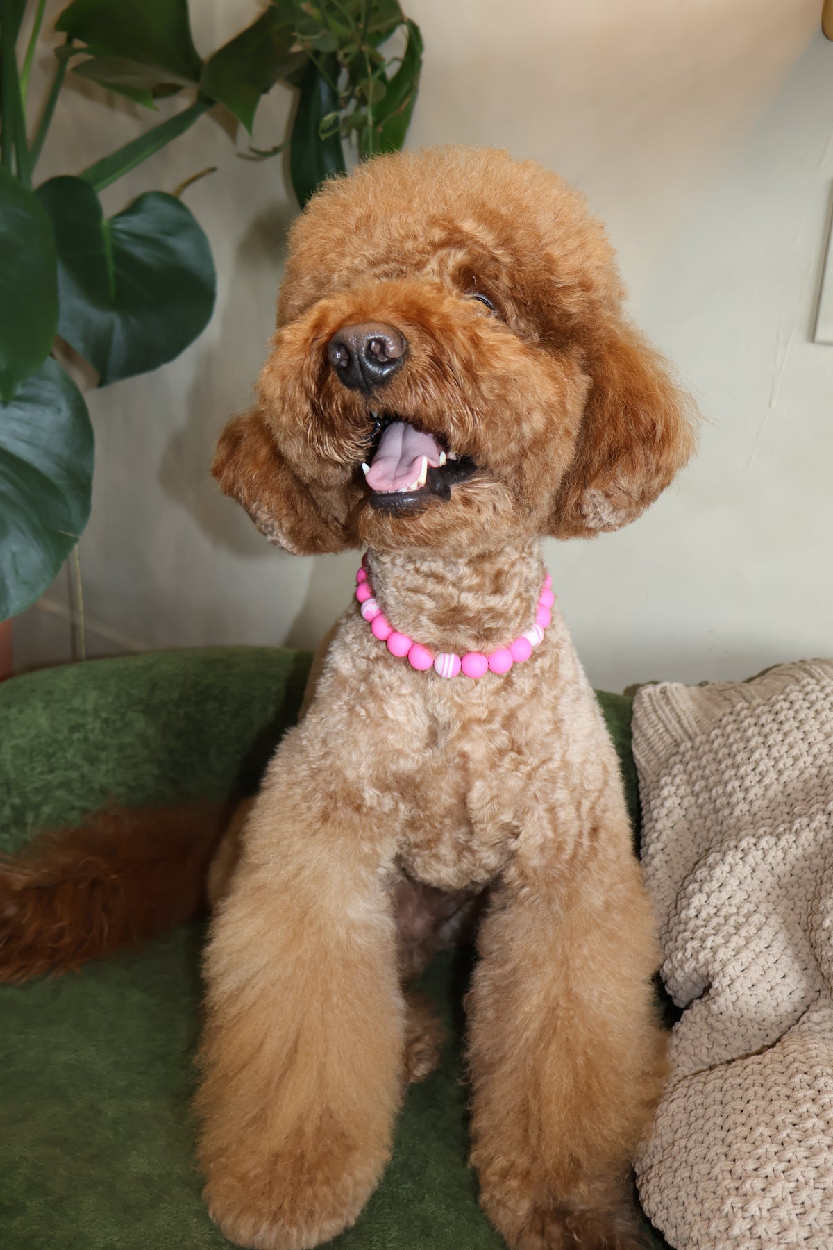 Pretty in Pink – Poodle Pearls Dog Necklace