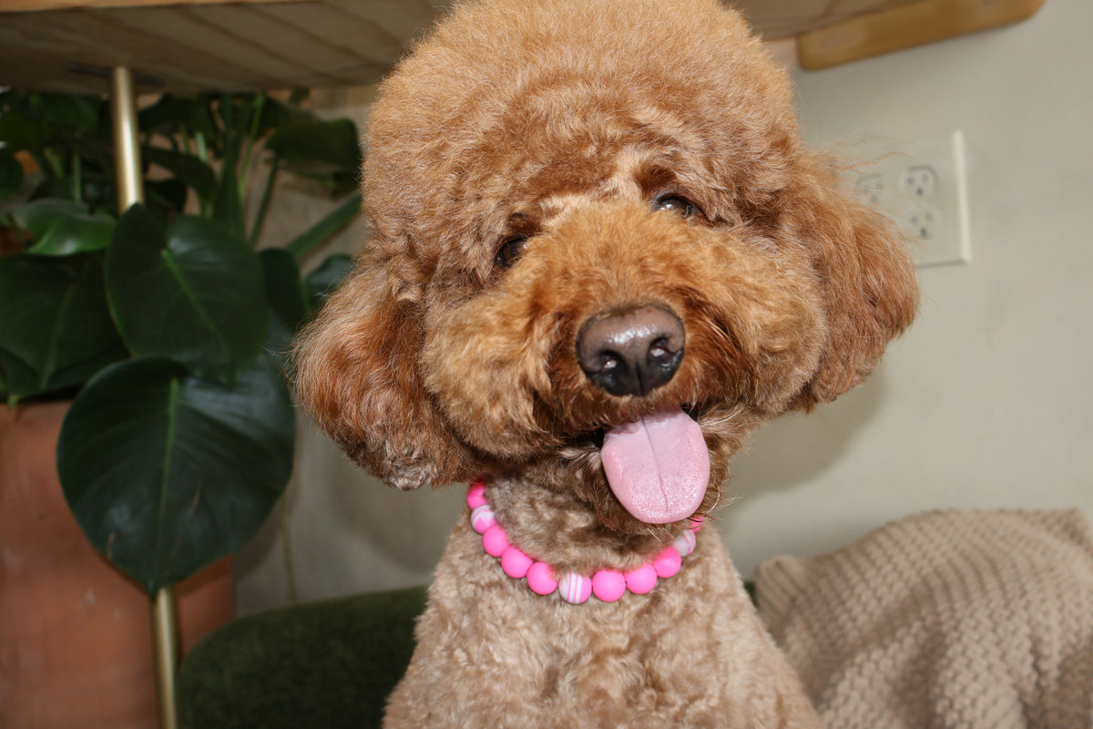 Pretty in Pink – Poodle Pearls Dog Necklace