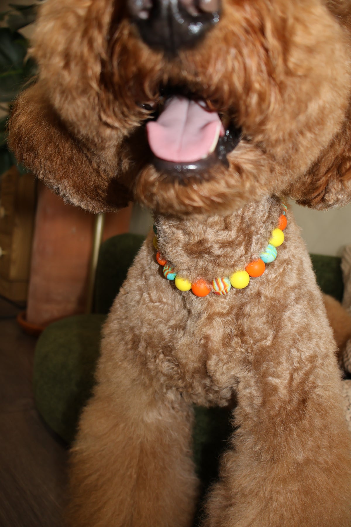 Sunset Blvd – Poodle Pearls Dog Necklace